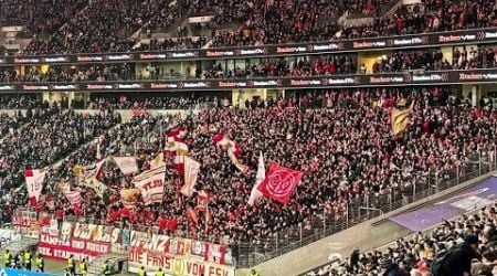 Mainz fans away at Eintracht Frankfurt (21.12.2024)