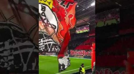 Bayer Leverkusen choreo vs Freiburg (21.12.2024)