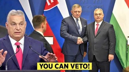 Hungary and Slovakia Go Against EU Parliament