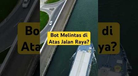 Bot Melintas di Atas Jalan Raya?