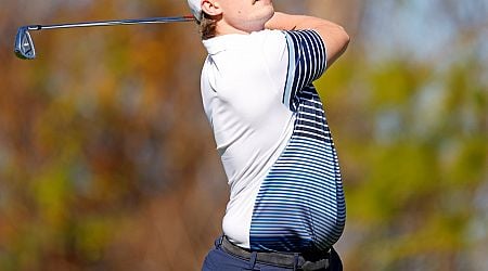 Chip-in off the old block: Harrington and Woods jnrs make first holes in one at PNC Championship