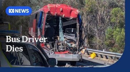 Bus driver dies, 13 passengers injured in Hume Highway crash | ABC NEWS