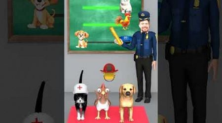 Cat, Chicken or Dog? Which Animal Can Wear a Police Hat #shorts