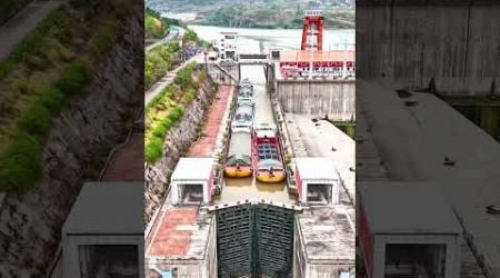 Ship Elevator In Panama Canal | @FactsMine @FactStock_ | #shorts #youtubeshorts