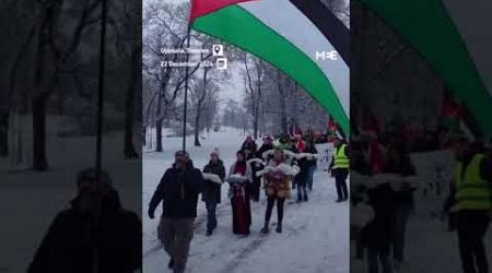 Rally held in Sweden honours Palestinian children