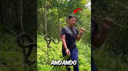 Ele Foi PICADO Pela Cobra! #curiosidades #incrivel #animal