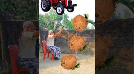 Rounding leaf coconuts to Alto, Rollar, Jcb &amp; Tractor - Vehicles names magic video