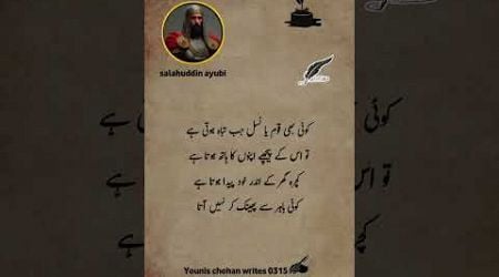 #salahuddinayubi #urdupoetry #poetry #quotes #viralvideo #viewsproblem