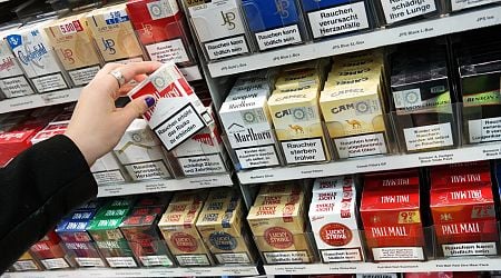 Over 200 tobacco shops opened since ban on tobacco sales for supermarkets