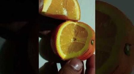 Malta cutting #shorts#fitfun#youtubeshorts #everyone #fruitcutting #facebook