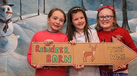 In pictures: Letterkenny Christmas show by Karen Murphy School of Speech and Drama 