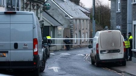 Man (40s) arrested in connection with fatal hit-and-run in Rathkeale, Co Limerick