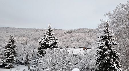 Preparing for White Christmas with Snowfall and Frosty Winds