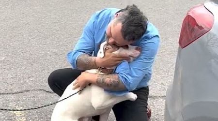 Man learns his adopted dog is someone else&#39;s. His response is perfect.