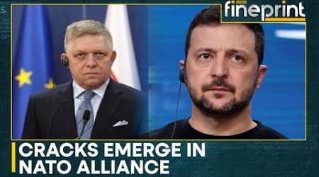 Russia-Ukraine War | Zelensky: Slovak PM Helping Putin | World News | WION Fineprint