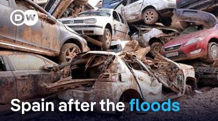 Spain: Waiting for the promised emergency aid after the devastating floods | Focus on Europe