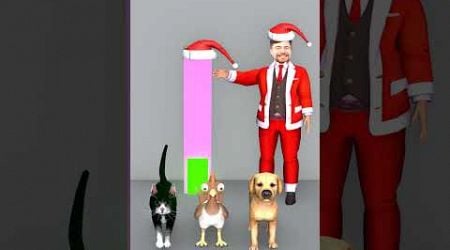 Cats and Chickens Vs Dogs? What animal can become a Christmas dog?#shorts