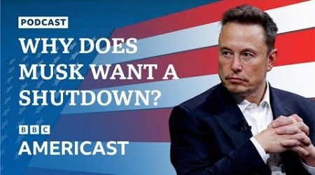 Why has Elon Musk been pushing for a government shutdown? | BBC News