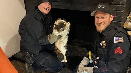 Trapped cat rescued from inside chimney in Wyoming