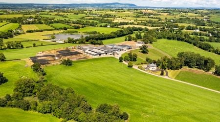 Top farm sales of 2024: 12 remarkable properties that sold in Ireland this year