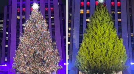 Who Started The Christmas Tree Tradition? History, Symbolism, Trivia Explained