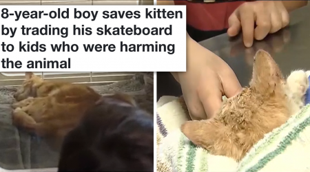 'As long as he lives, he's my best friend': 8-Year-Old Boy Saves Kitten by Trading His Skateboard to Kids Who Were Harming the Cat, Restoring Our Faith in Humanity