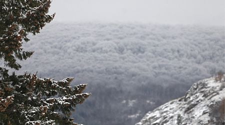 Yellow, brown alert code for rain, snow declared for 16 regions in Bulgaria for Thursday