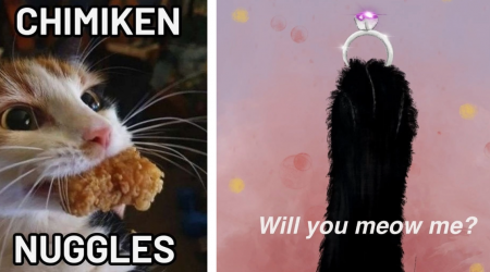 A Cat Child Christmas Collection: 23 Feline Funnies for the Whole Family