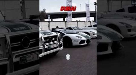 Others vs these country&#39;s police car #dubaipolice #cars #italy #cars #germany #cars #japan #caredits