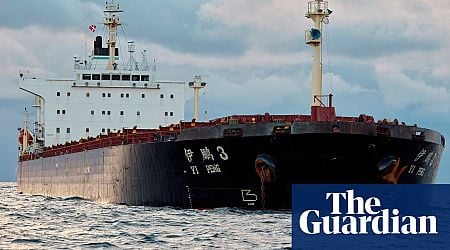 China refused investigation into ship linked to severed Baltic cables, says Sweden