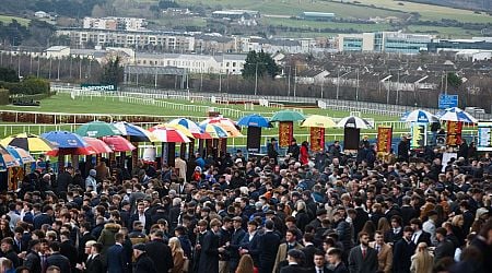 Leopardstown full race card and tips for St Stephen's Day - list of runners on December 26