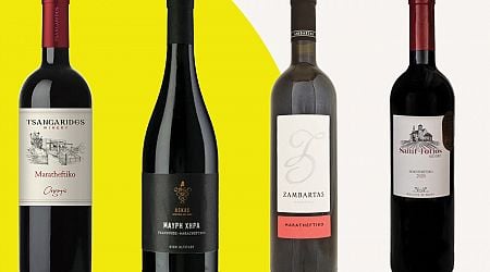 International Maratheftiko Day: Awarded wines to try