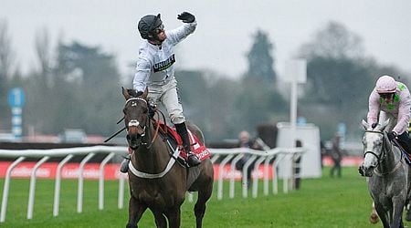 Nicky Henderson's expressions sum it up as Constitution Hill wins Christmas Hurdle