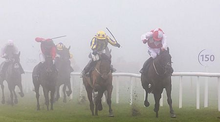 Heavy fog causes delay and threatens abandonment of racing at Leopardstown