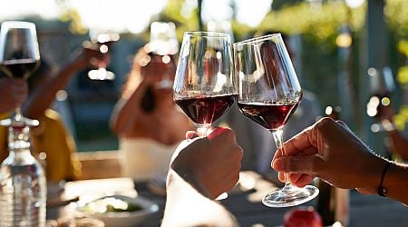 Can I add ice to wine and how can I avoid hangovers? John Wilson answers 50 popular questions about wine