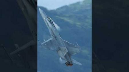 McDonnell Douglas F-18C Hornet EPIC CLIMB!