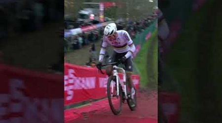 VAN DER POOL CLAIMS GLORY at Cyclocross Gavere 2024! #shorts #Edit #foryou #viralshorts