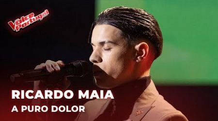 Ricardo Maia - &quot;A Puro Dolor&quot; | Galas | The Voice Portugal 2024