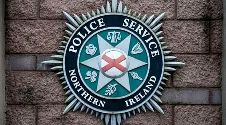 PSNI arrest three people on 'suspicion of murder' after man, 50, found unconscious at a property in Down