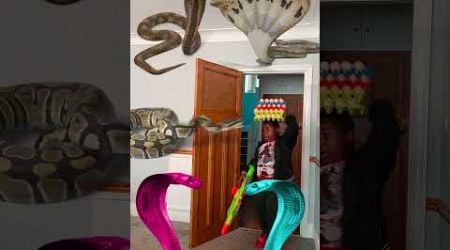 Animal funny video Anaconda snake python in my house in real life bhoot wala usa #bhojpuri #vfx p29