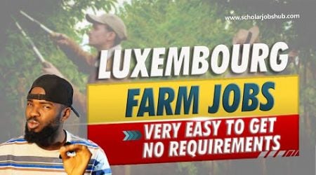 Get A Visa In Luxembourg Without Farming Experience FAST