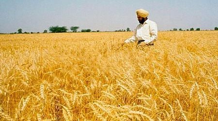 India News Today Live Updates on December 27, 2024 : Agri-entrepreneurship scheme faces lukewarm response despite rural growth