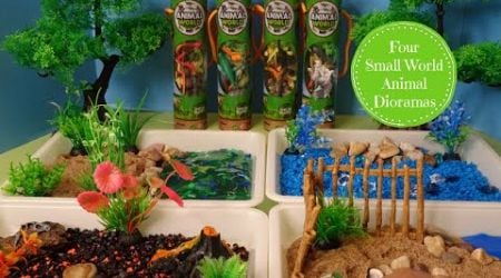 Four Small World Animal Dioramas- Ocean, Wild, Dino, &amp; Swamp Animals - Learn Animal Names