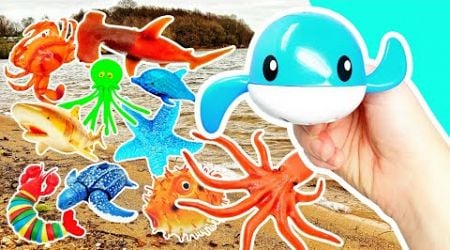 Babies Toddlers Learn Sea Animal Names &amp; Facts at the Lake for Kids: Jellyfish Starfish Crab