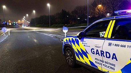 St Stephen's Day hit and run in Blanchardstown claims another life as man, 40s, dies