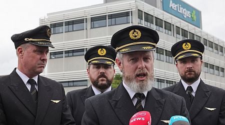 From Aer Lingus pilots to Alias Tom: Who were the winners and losers in Irish business this year?