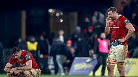 Munster bring the fight but Leinster take the spoils at Thomond Park