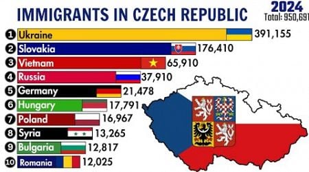 Top 50 Immigrant Groups In Czech Republic Since 1990-2024