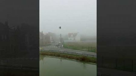 Brouillard et froid dans le nord #noel #brouillard #meteo #nord #froid