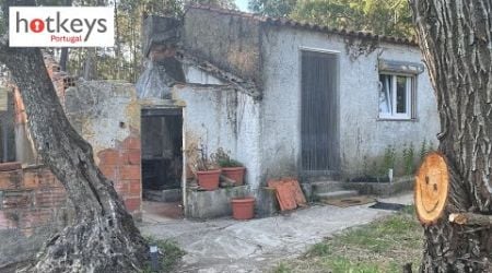 Renovation TIMELAPSE Portugal TINY HOUSE 1 year in 60 mins EP55